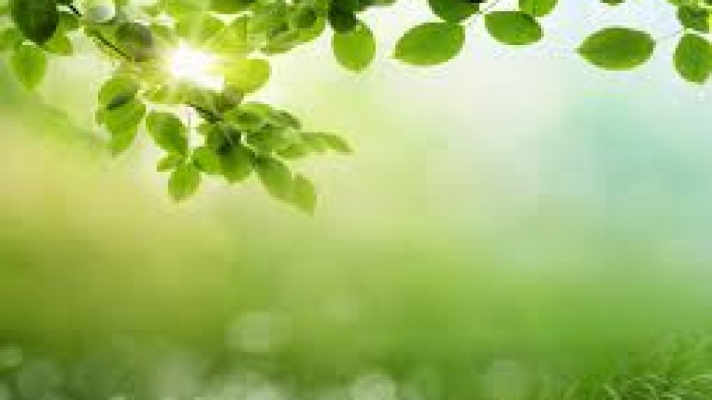 Chromate-free primer